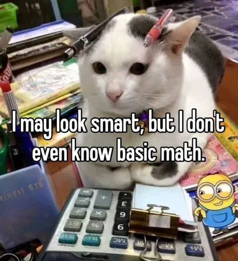 Smart Cat Bad at Math