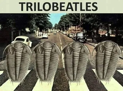 Trilobites Crossing Abbey Road