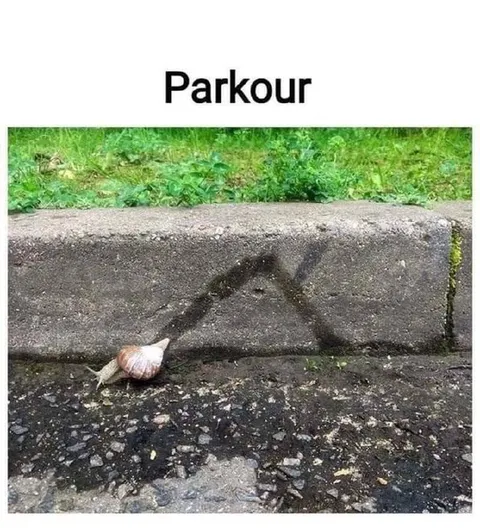 Snail Parkour