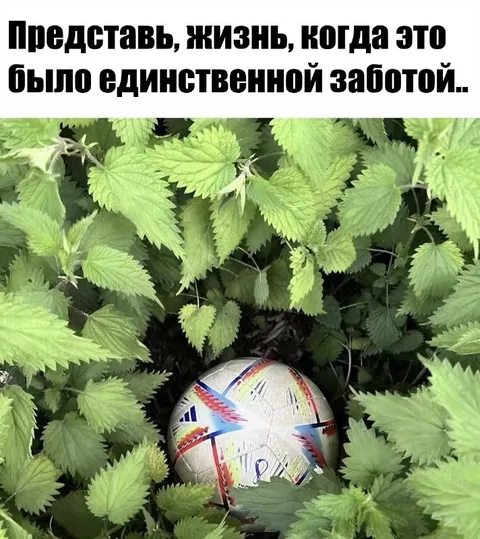 Мяч в крапиве