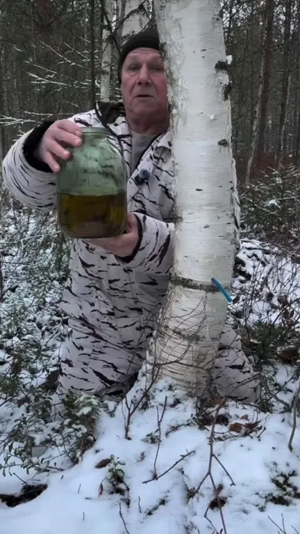 Мужчина пьёт из берёзы