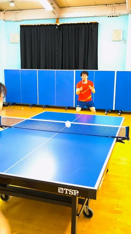 Ping Pong Sonar Tutorial
