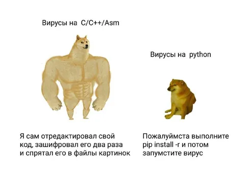 Вирусы на C/C++ и Python