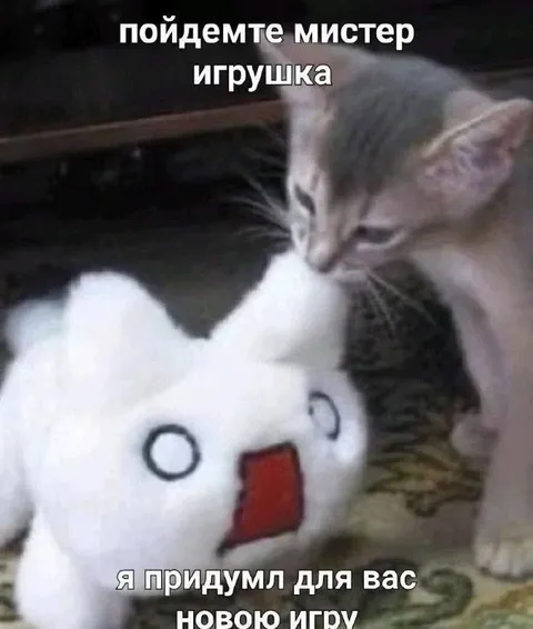 Кот и новая игрушка