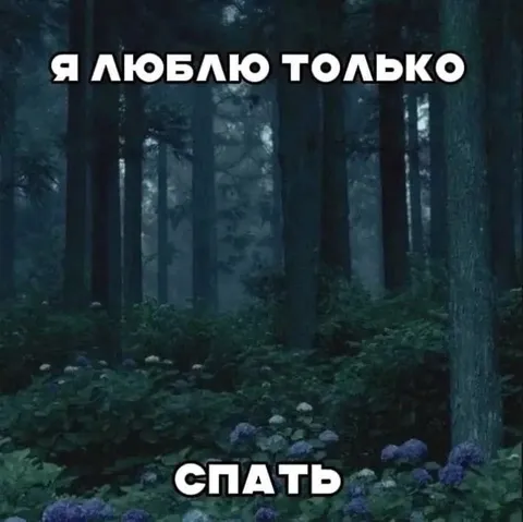 Я люблю только спать
