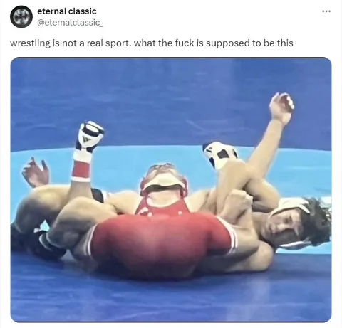 Wrestling Is Not a Real Sport