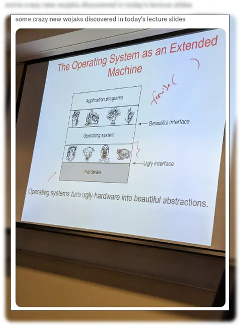 New Wojaks in Lecture Slides