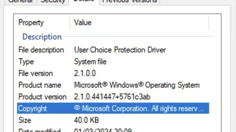 Microsoft Controls Your Browser Choice