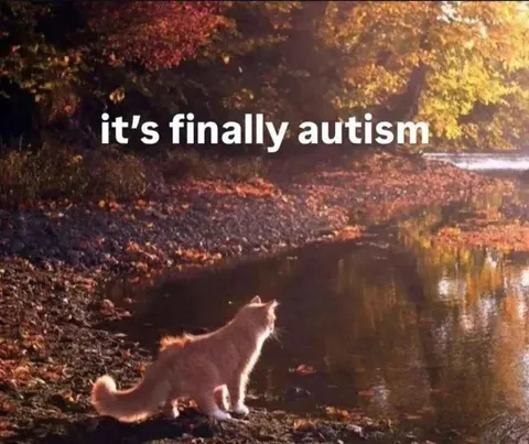 It's Finally Autism Cat