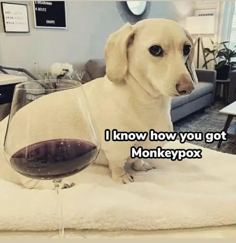 Dog Knows How You Got Monkeypox