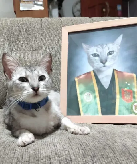 Кот рядом с портретом