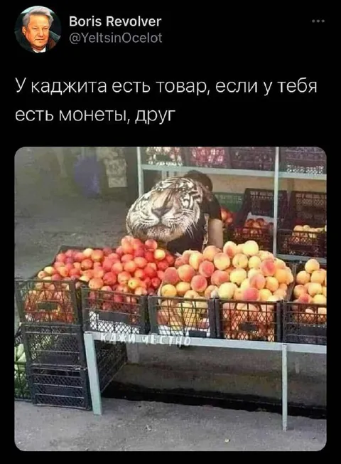 У каджита есть товар