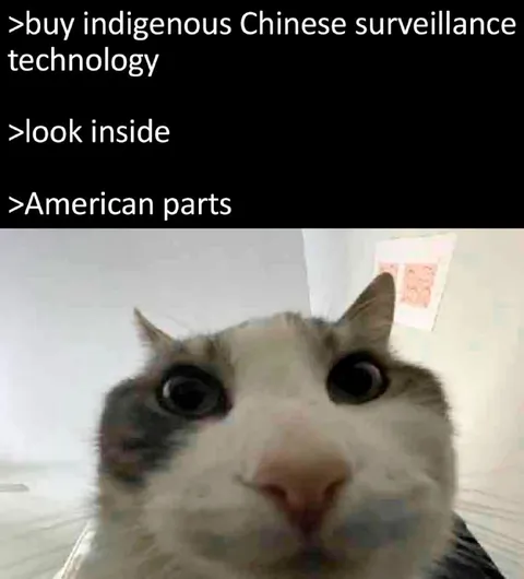 American Parts Inside Chinese Surveillance