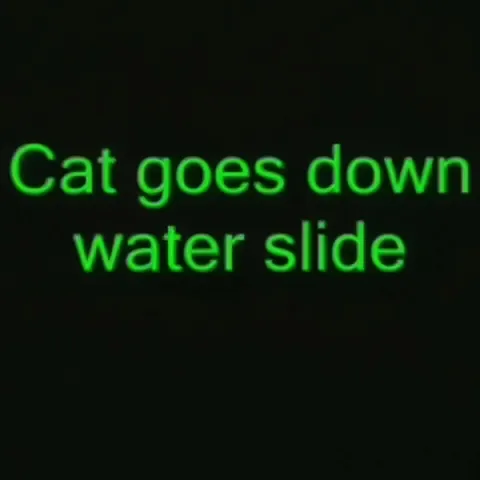 Cat Goes Down the Water Slide
