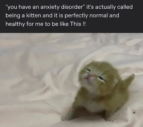 Being a Kitten Is Normal