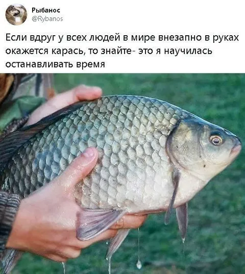 Карась в руках у всех