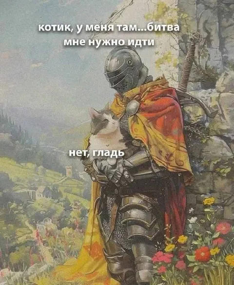 Котик, у меня там битва