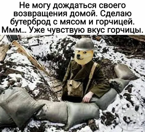 Дож в окопе ждёт возвращения