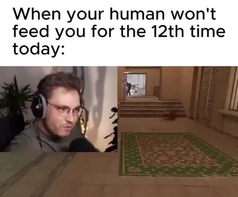 When Your Human Won't Feed You