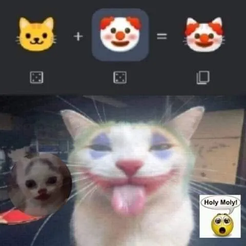 Holy Moly Cat Reaction