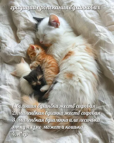 Градации прокекания буханковых