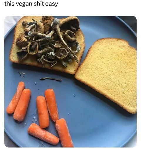 This Vegan Shit Is Easy