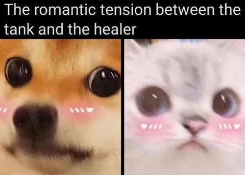 Romantic Tension Between Tank and Healer