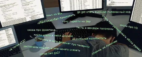Разработчик устал от Go