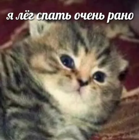 Лёг спать очень рано