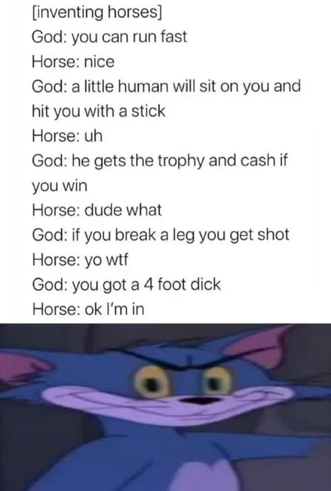 Horse Learns About Horse Racing