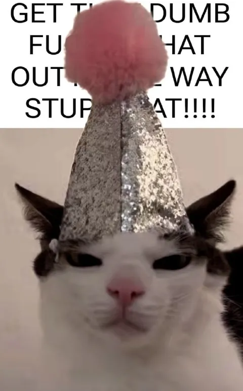 Angry Cat in Party Hat
