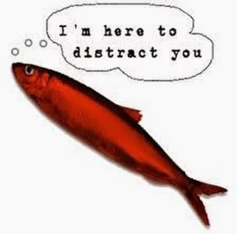 Fish Here to Distract You
