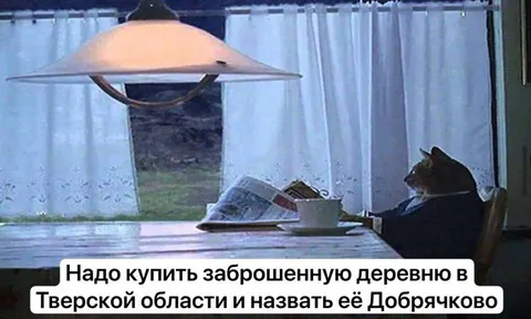 Кот планирует купить деревню