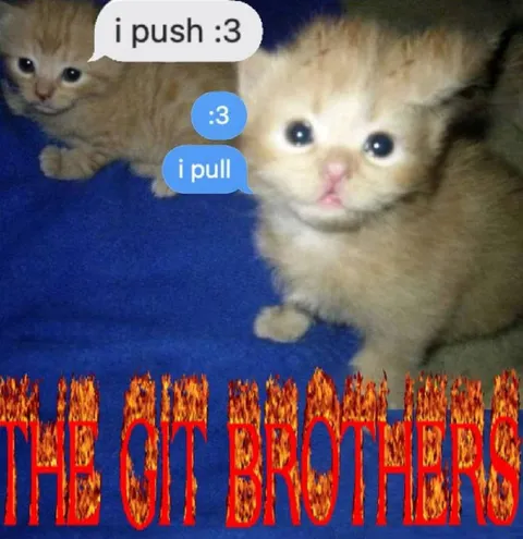 I Push I Pull Kittens