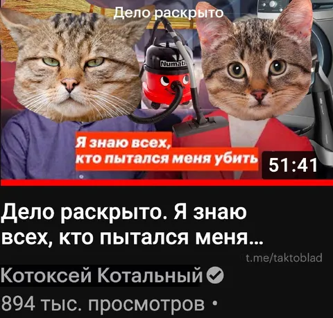 Кот знает всех убийц