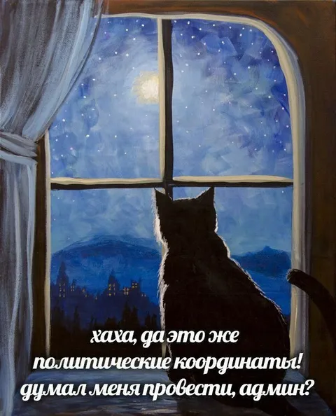 Кот с политическими координатами