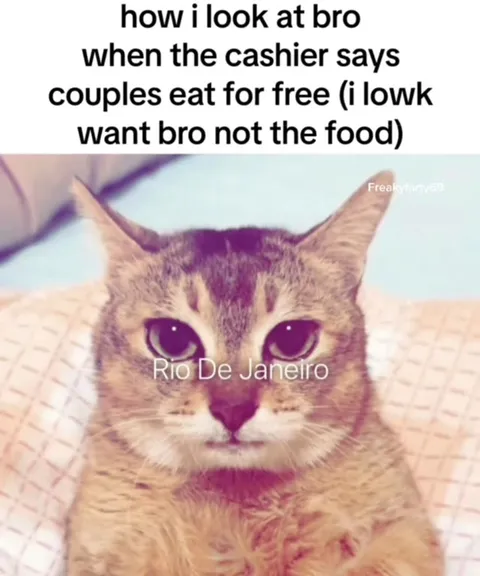 Cat Wants Bro, Not Food