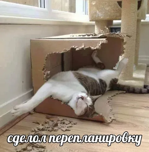 Сделал перепланировку в коробке
