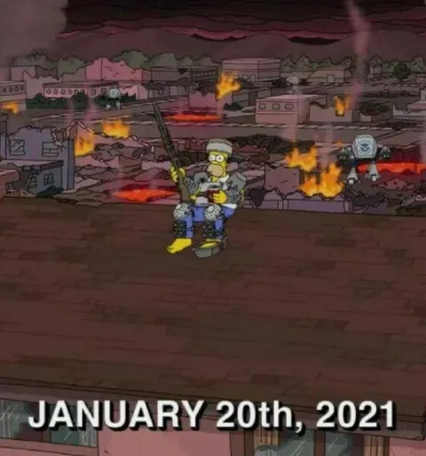 Homer Simpson January 20th 2021