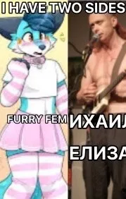 I Have Two Sides Furry Meme