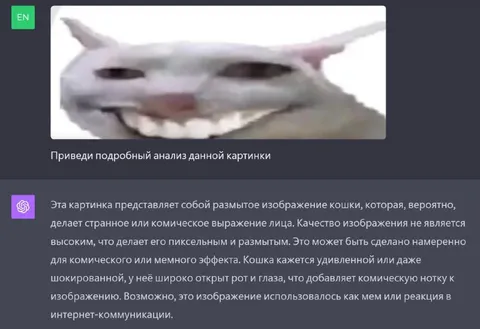 Размытая ухмыляющаяся кошка