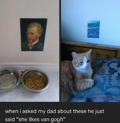 Cat Likes Van Gogh