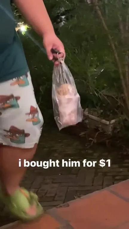 I Bought Him for $1