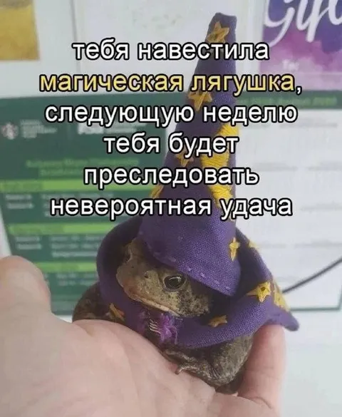 Волшебная лягушка на удачу