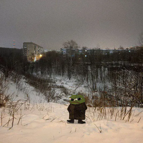 Пепе один в снегу