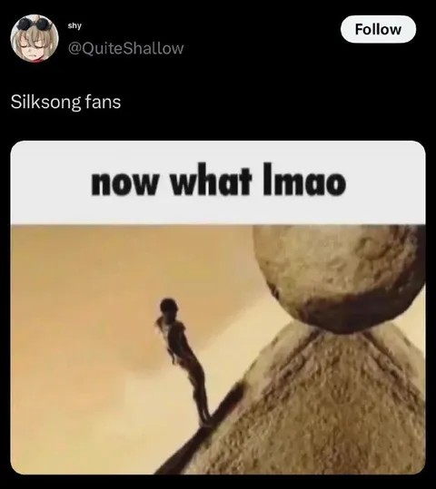 Silksong Fans: Now What