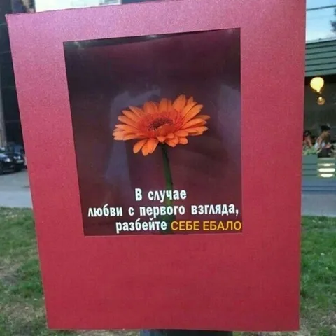 Любовь с первого взгляда