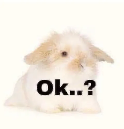 Confused Hamster Says OK