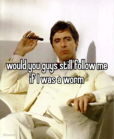 Would You Follow Me as a Worm