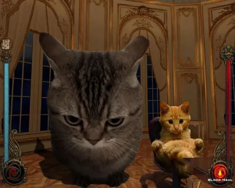 Гигантский кот и маленький котёнок